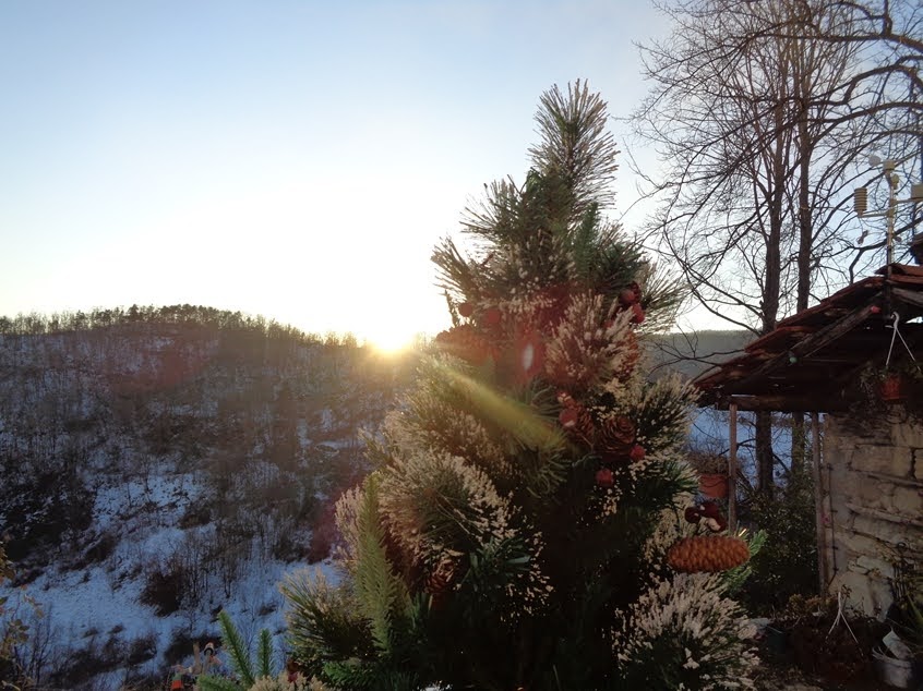 Weihnachstbaum