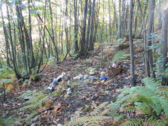 Wald in Gugellandia