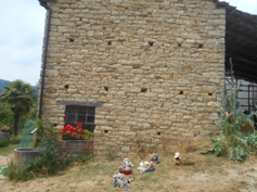 alte Hausmauer