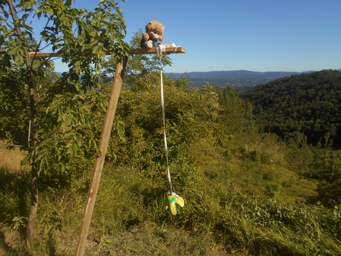 bungee-jumping