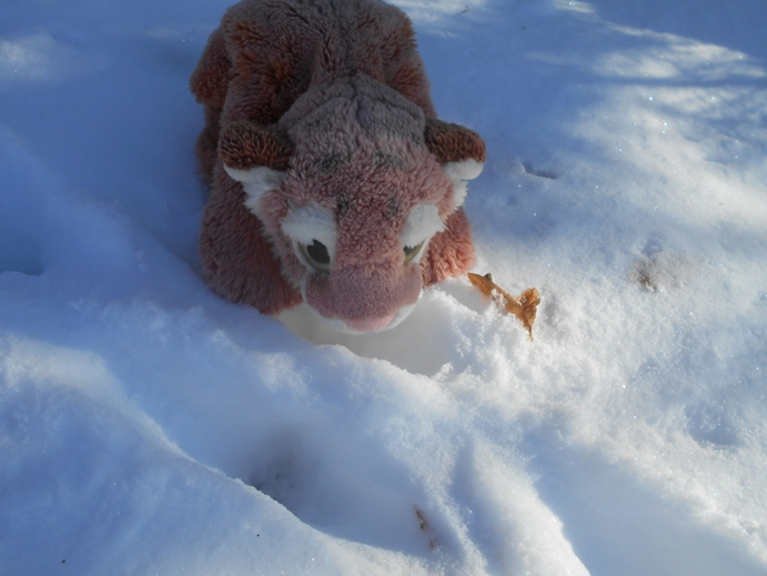 spuren im schnee lesen