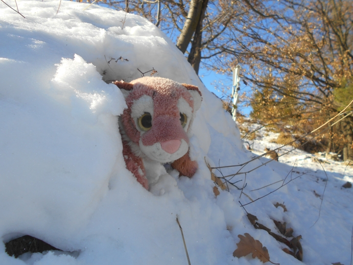 im schnee verstecken