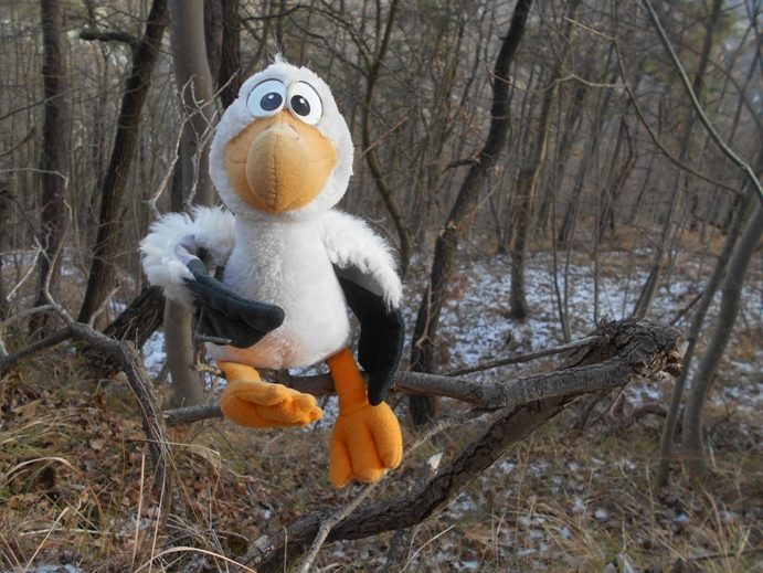 guido im wald