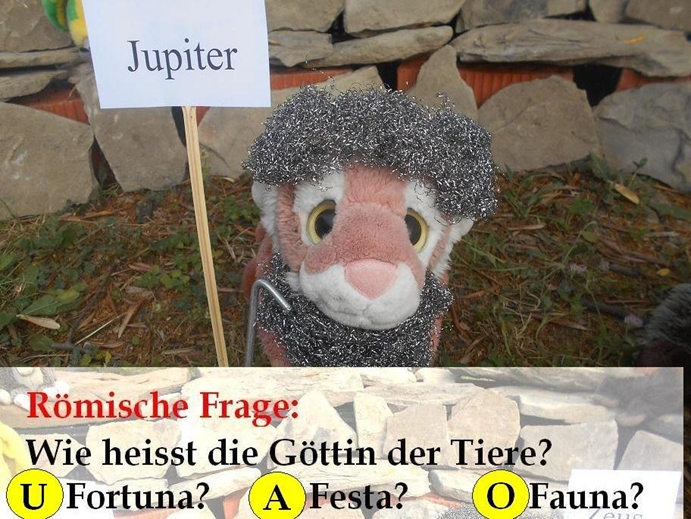 frage2