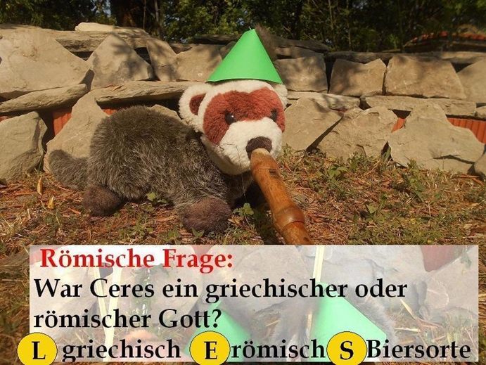 frage20