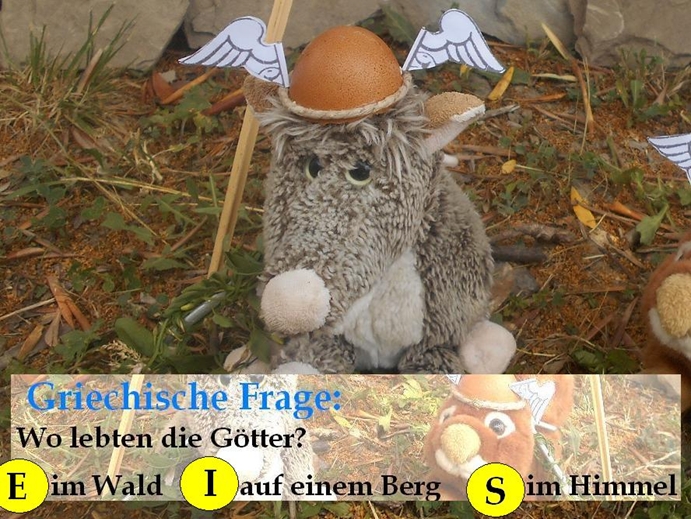 frage5