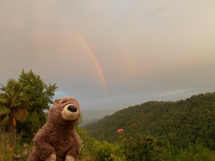 Regenbogen