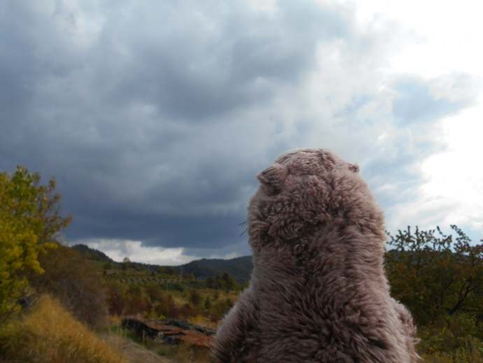 schlechtwetterfront