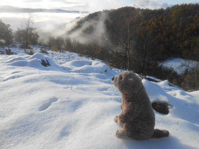 Wetter beobachten