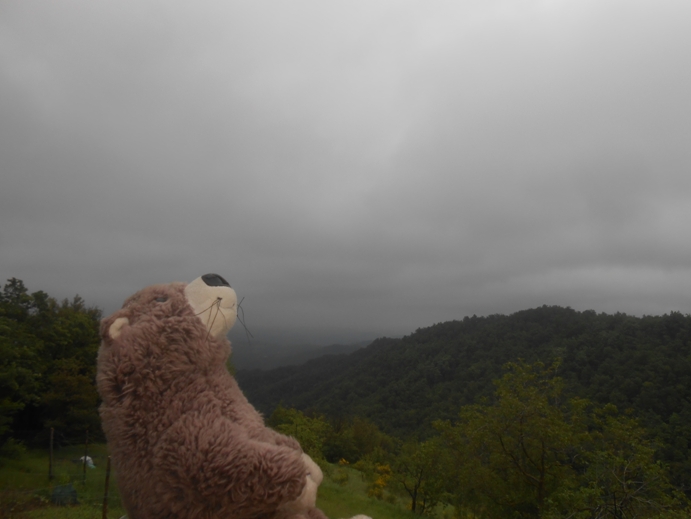 Schlechtwetterfront