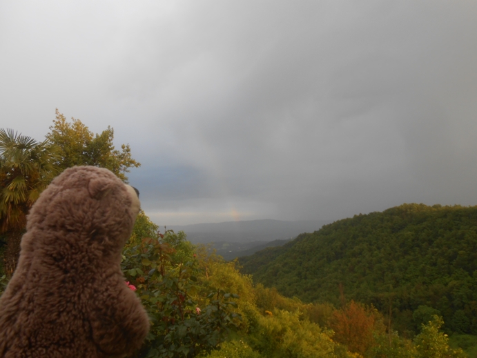 Regenbogen