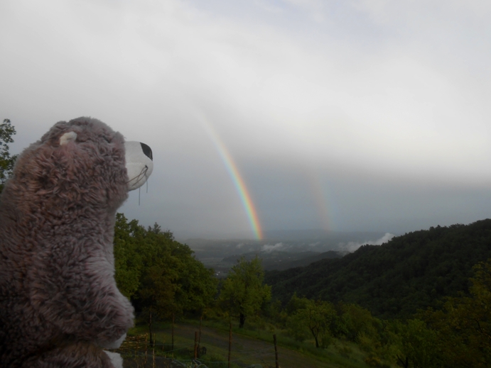 Regenbogen